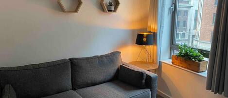 アパートメント | リビング エリア