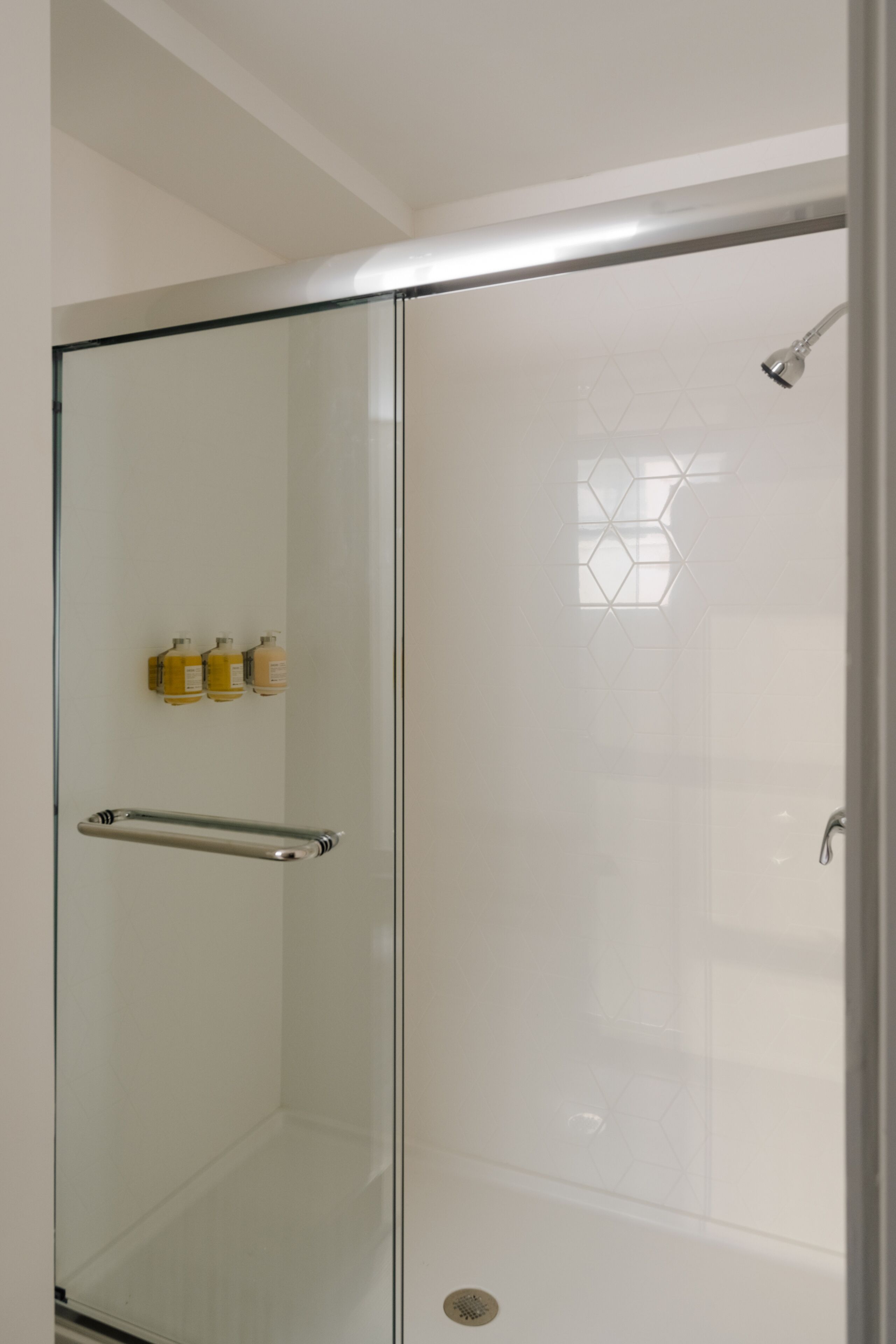 A glass-enclosed shower with a glass door, a handrail, and a showerhead.