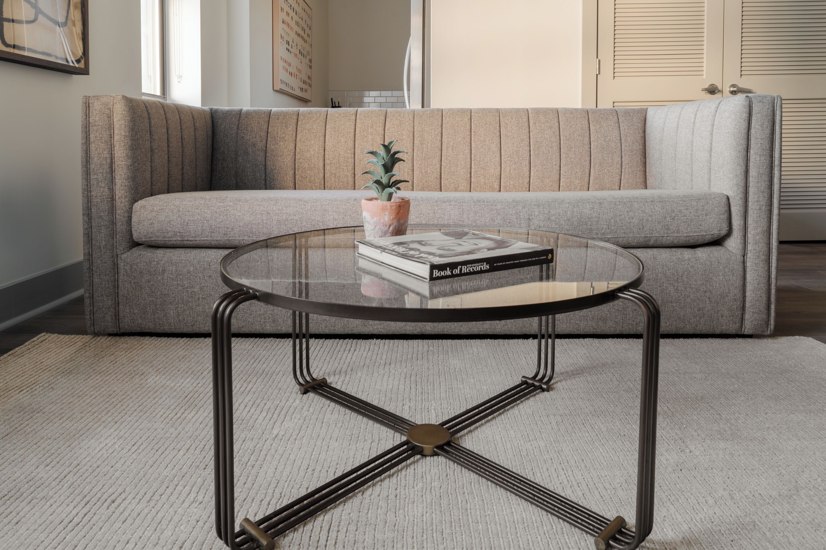 A modern living room with a grey sofa, a glass coffee table with a metal frame, and a small potted plant.