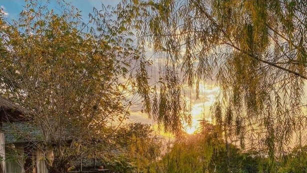 Un puente de madera que conduce a un jard ín con un estanque, rodeado de abundante vegetación y un edificio tradicional.