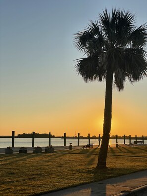 Vista de atardecer con una palmera, bancos y un muelle.