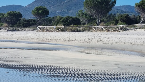 Een strand met een houten omheining, zandduinen en een berg op de achtergrond.
