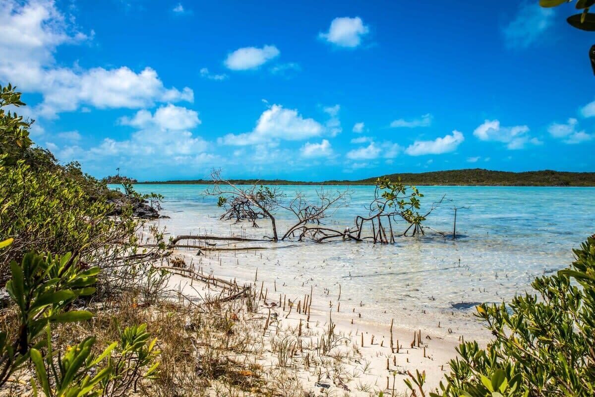 Plage, chaises longues, serviettes de plage