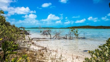 Plage, chaises longues, serviettes de plage