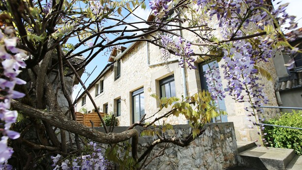 A stone building with a staircase and a tree with purple flowers. - Cottage on private grounds (Perrou)