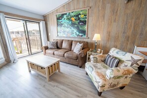 Smart TV, fireplace, DVD player, books
