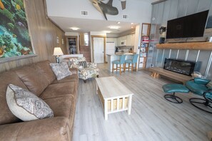 Smart TV, fireplace, DVD player, books