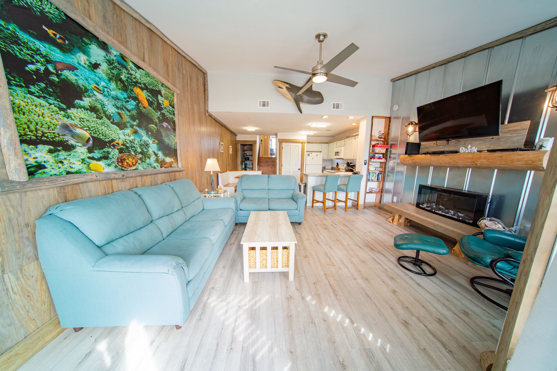 Smart TV, fireplace, DVD player, books