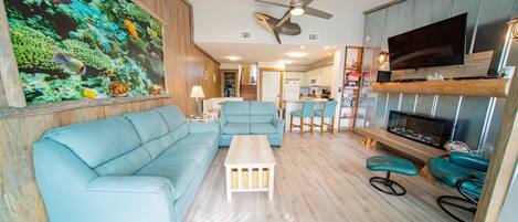 Smart TV, fireplace, DVD player, books