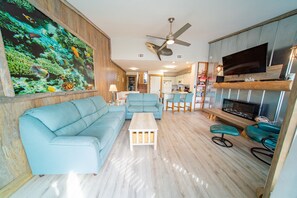 Smart TV, fireplace, DVD player, books