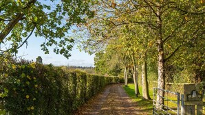 Een landweg langs bomen met een poort naar een veldwoning.