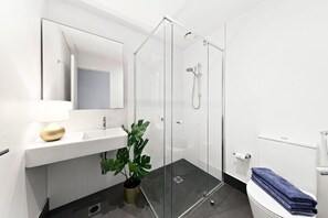 Shower, hair dryer, towels, soap