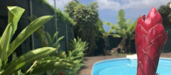 COLIBRI LODGE - NICE APARTMENT WITH POOL ACCESS