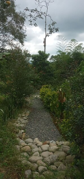 Exterior - Finca San Miguel Filandia  (Filandia)