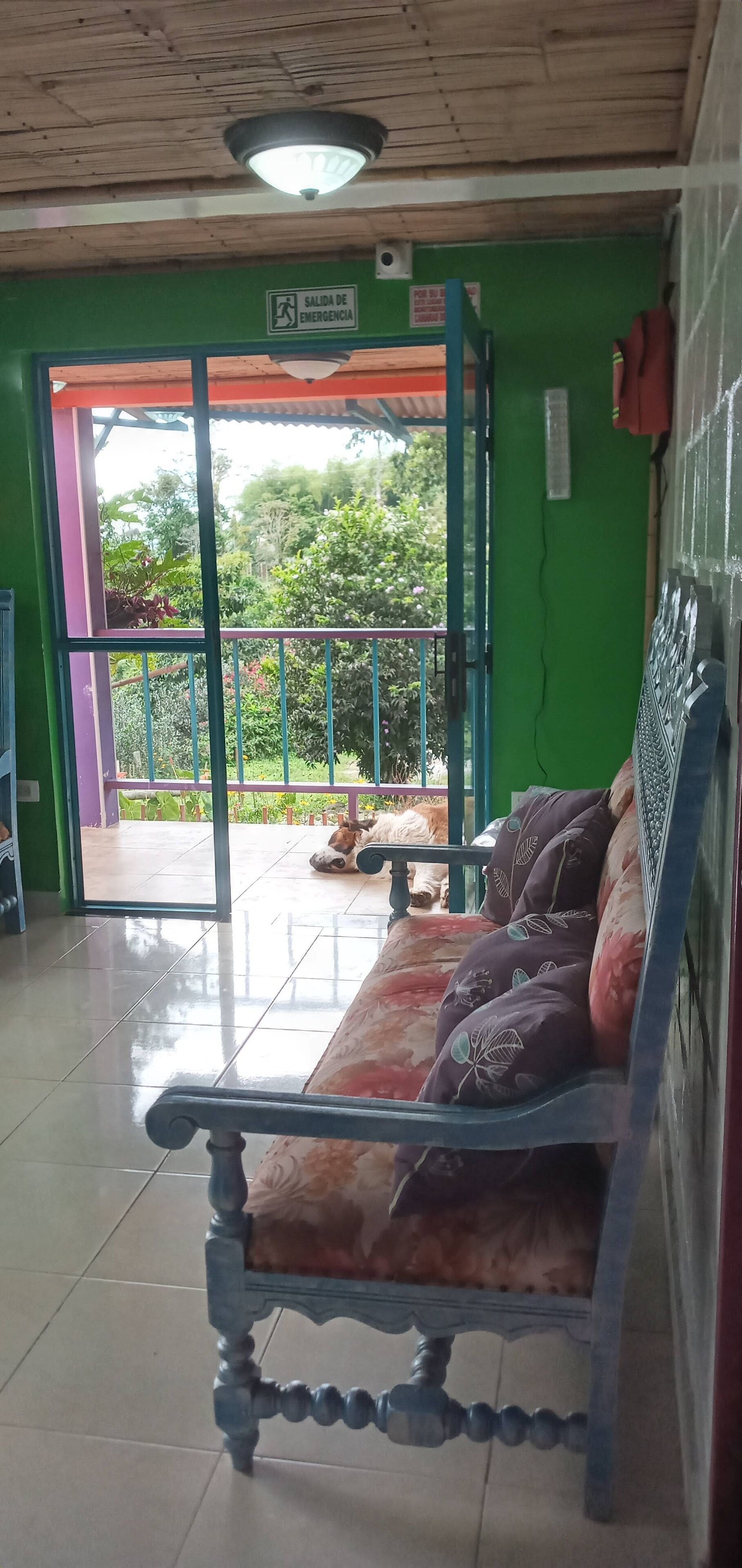 Ein Zimmer mit einer Bank, einer grünen Wand, einer Tür mit einem Notausgangsschild und Blick auf einen Garten.