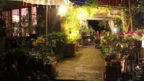 A stone-paved garden with potted plants and flowers, a pergola with string lights, and a white umbrella structure. - Country house, lovingly renovated in the olive grove, large panoramic pool, air conditioning system (Caldana)