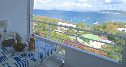 Grand T1 avec terrasse panoramique dominant la mer, piscine, prĂšs des plages