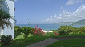 Property grounds - Large T1 with panoramic terrace overlooking the sea, swimming pool, close to beaches (Sainte-Anne)