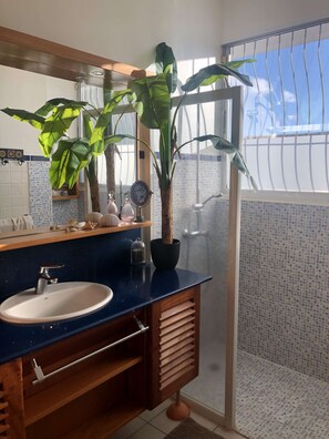 Shower, hair dryer, towels