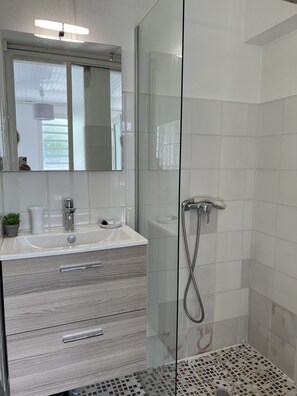 Shower, hair dryer, towels