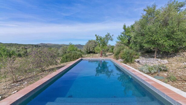 Una piscina rectangular con borde de azulejos, rodeada de vegetación natural y un cielo despejado.