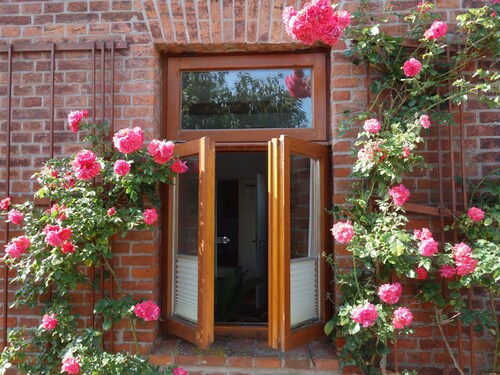 Ferienhaus Wolthuser Warf 3 - emden und meer - idyllisches Wohnen für 4 stadtnah