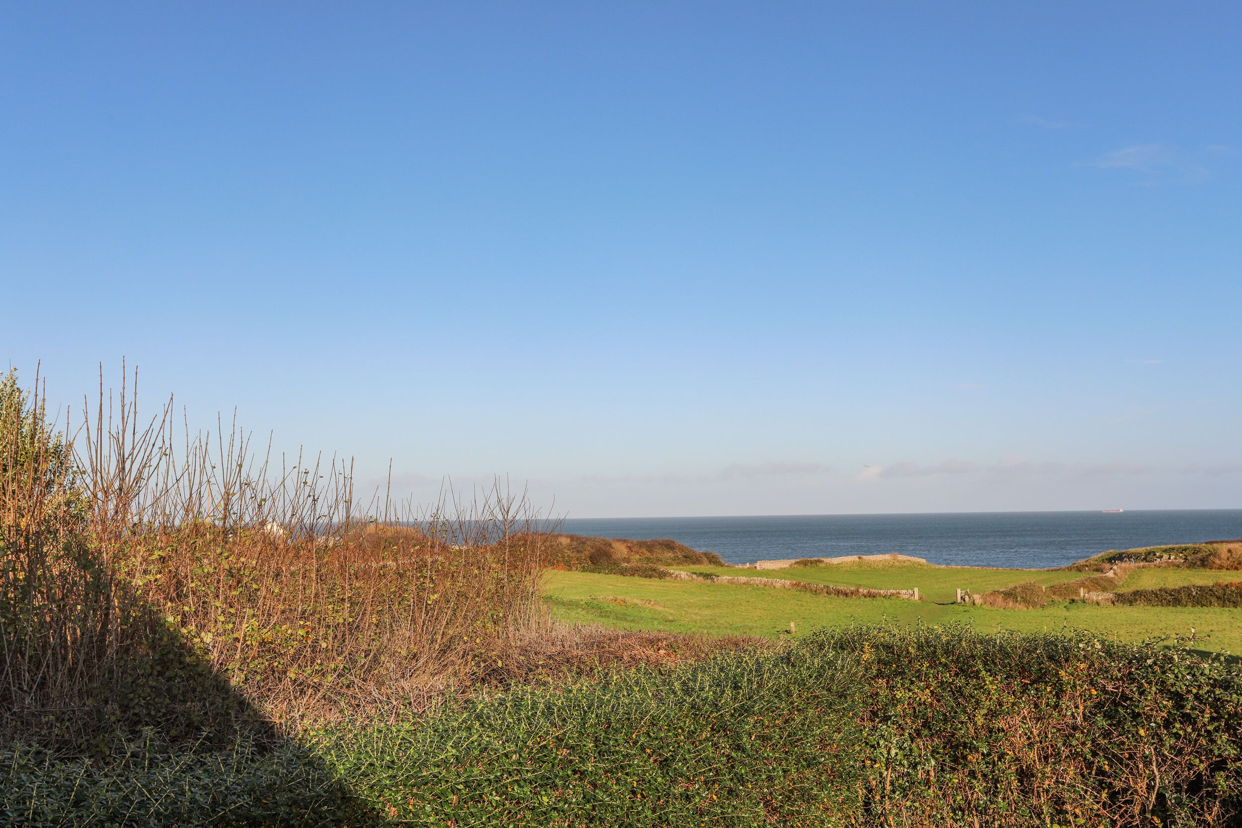 A coastal landscape with a grassy field, a stone wall, and the sea in the background.