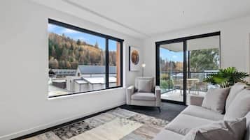 TV, fireplace, stereo, offices