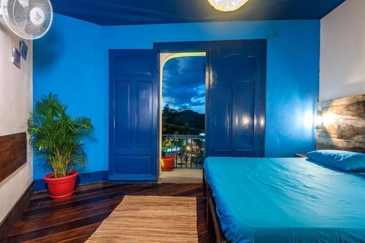 A room with a bed, a potted plant, a fan, and a view through an open door.