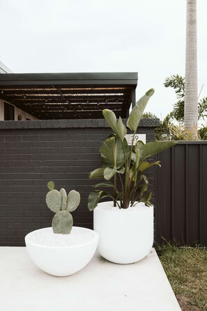 Two potted plants, one with a cactus and the other with broad leaves, placed on a concrete surface against a dark wall. - The Lull Culburra (Culburra Beach)
