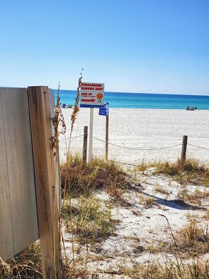 A beach sign with a parasailing banana boat sign, a sign for a beach club, and a sign for an alcohol-free area. - 100 ft away from the 10th floor pool! Bring your sunscreen! (Panama City Beach)
