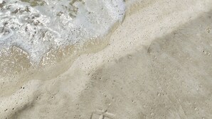 A sandy beach with gentle waves lapping at the shore.