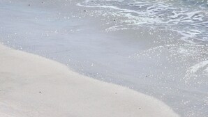A beach with clear water and a sandy shore. - Gorgeous Unit, Best amenities with a private boardwalk and multiple pools!! (Panama City Beach)