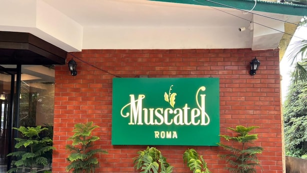 A green sign with "Muscatel" and "ROMA" on a brick wall, flanked by potted plants. - Muscatel Roma (Darjeeling)