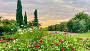 A garden with various flowers, tall trees, and a lawn. - Belvedere Farmhouse: 2 Bedrooms, 2 Bathrooms, AC | Bolgheri & Sea at 10 minutes (Castagneto Carducci)