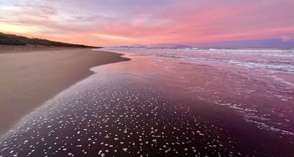 Spacious Tuscany Country House Near Sea | 2BR, 2BA, Large Garden, AC - Tower