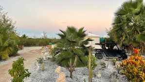 A desert landscape with a dirt road, a Can-Am ATV, and various cacti and palm trees. - New Private Pool, Private Beach and Flat, Private House, what else do you need? (Whymms)