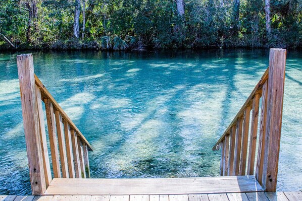 A wooden dock leading into a clear blue body of water surrounded by dense greenery.