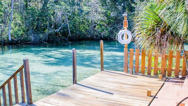 A wooden dock extending into a clear blue water body, surrounded by dense greenery. - Manatee Cove Apartment Star5Vacations (Weeki Wachee)