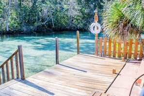 A wooden dock extending into a clear blue water body, surrounded by dense greenery.