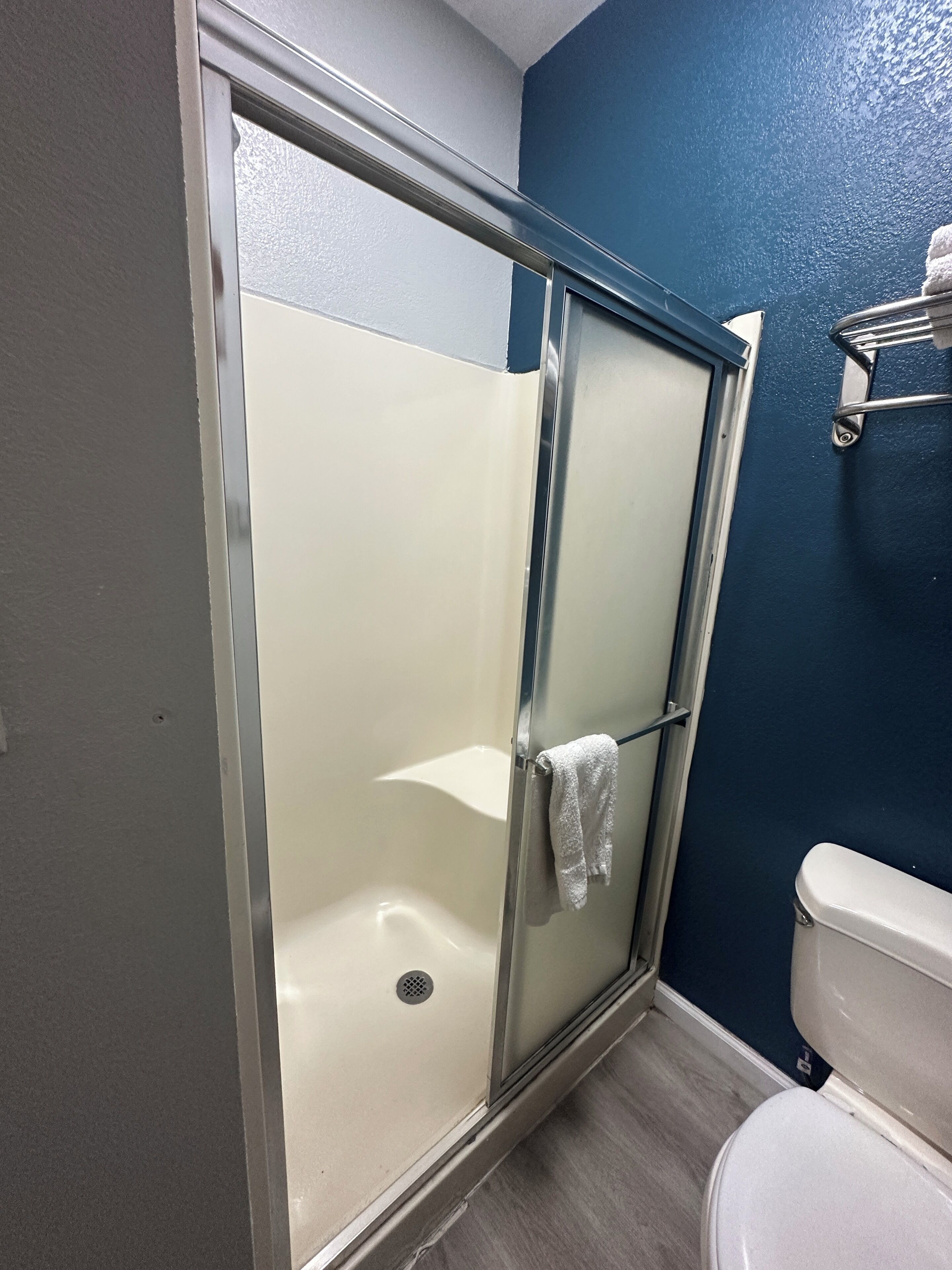 A bathroom with a glass-enclosed shower, a white toilet, and a towel rack.