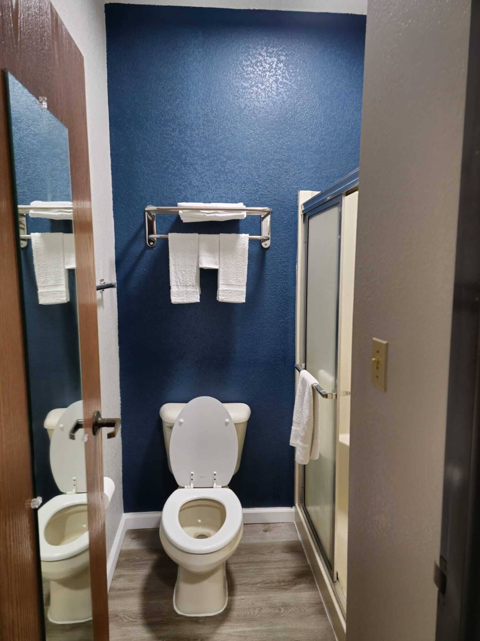 A bathroom with two toilets, a towel rack, and a glass shower enclosure.