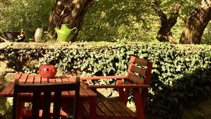 A wooden table and bench set under a large tree with a bench seat facing the tree. - Cozy little retreat in wonderful location, with pool (località Fornello, Pontassieve)