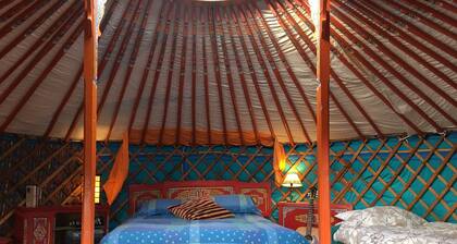 Eco Glamping immersed in nature, ideal for family holidays and romantic getaways