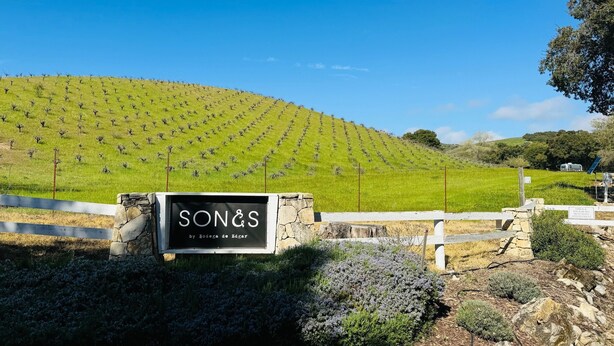 En vingård med rækker af vinstokke og et skilt, der siger "SONS by Bodega de Bagar".