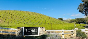 3 bedroom, 2 bath West Side Paso home! Located on the beautiful Songs Vineyard!