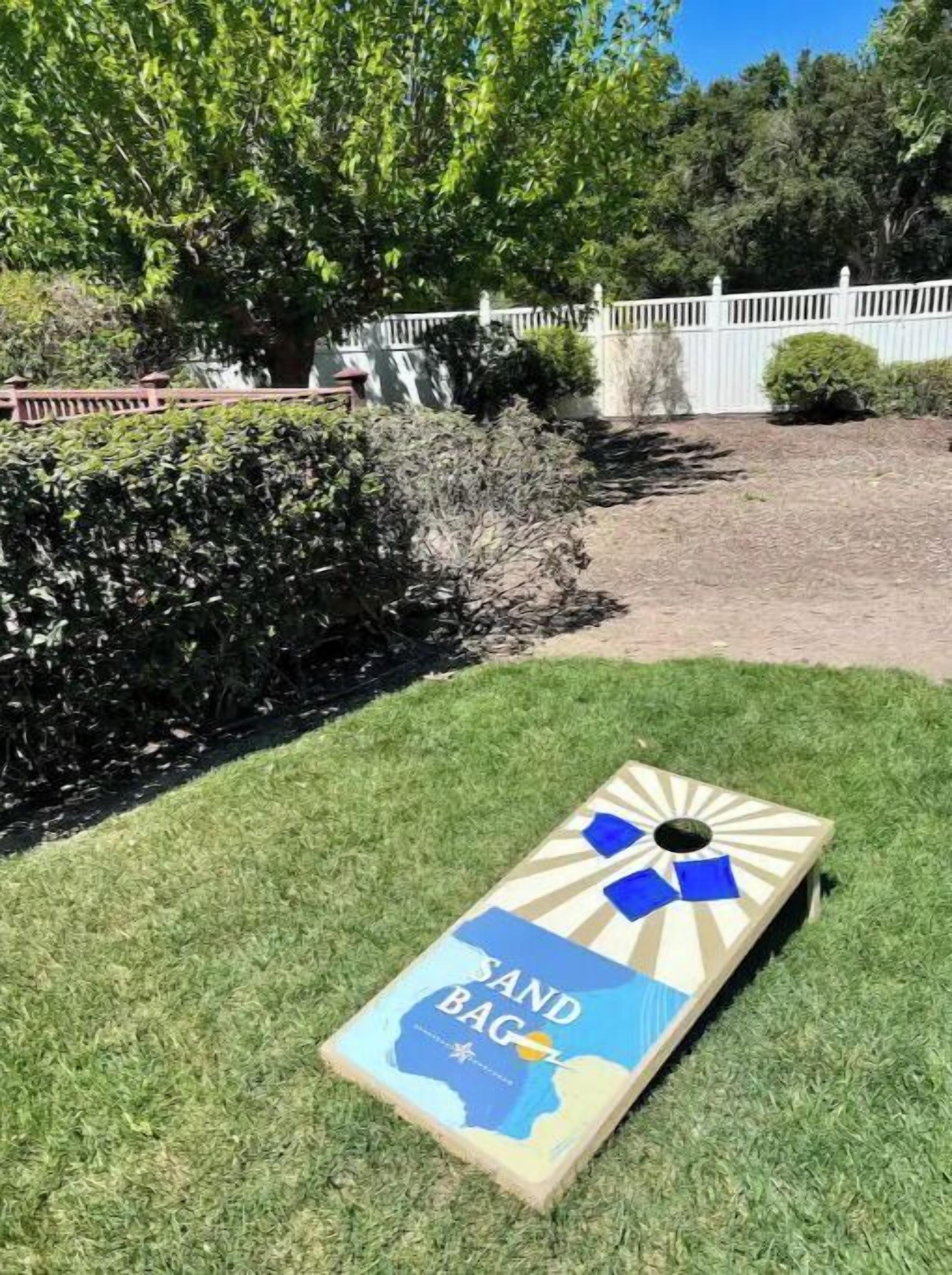 Corn hole set!!!
