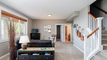 TV connectée, cheminée