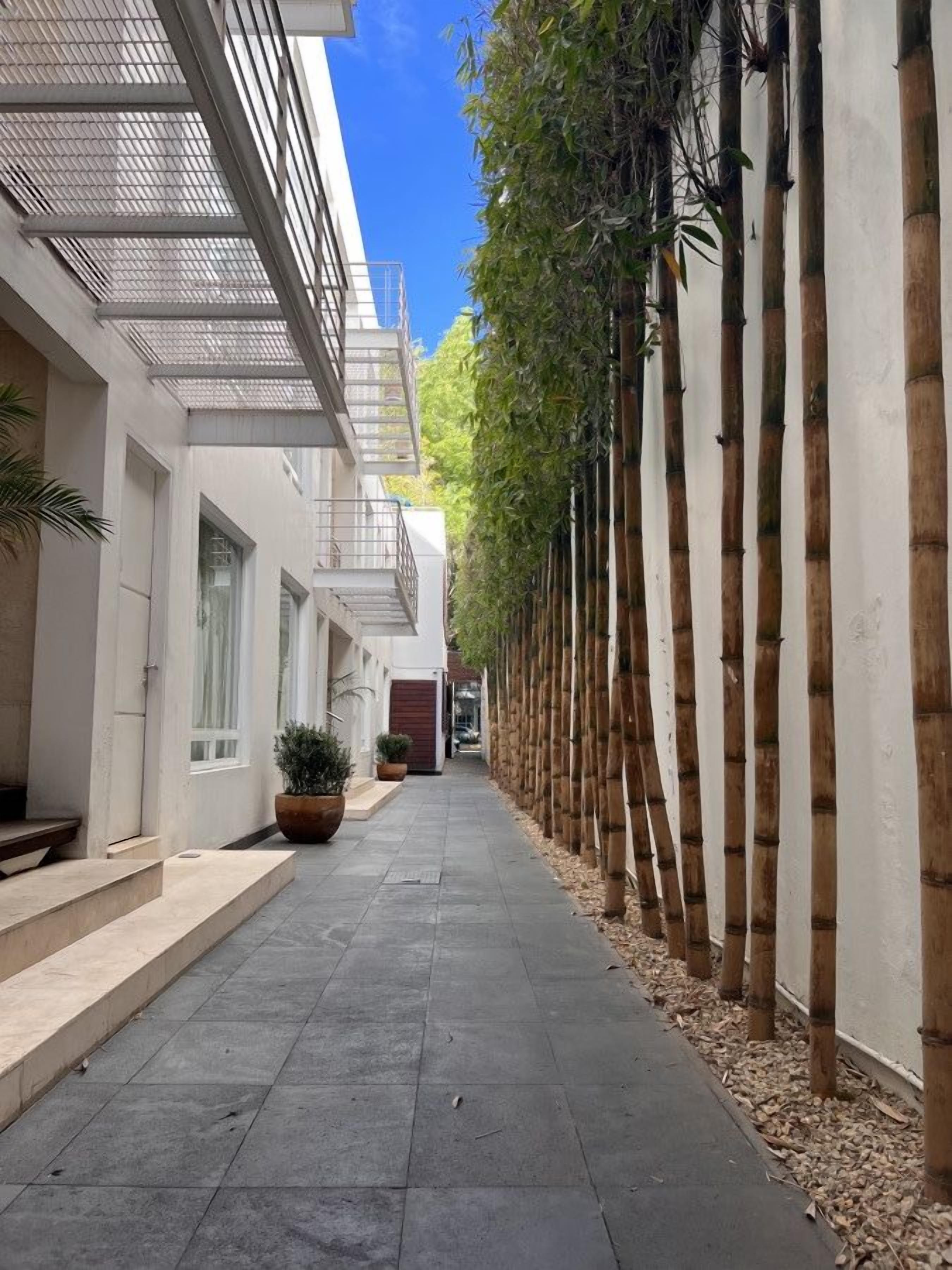 A narrow pathway flanked by buildings with a row of bamboo plants on one side and a metal railing on the other.