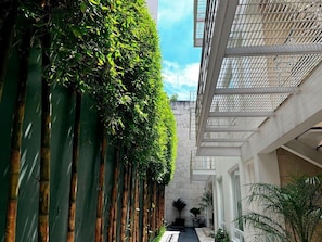 A narrow corridor with vertical bamboo plants on one side and a building with a grid-like ceiling on the other.